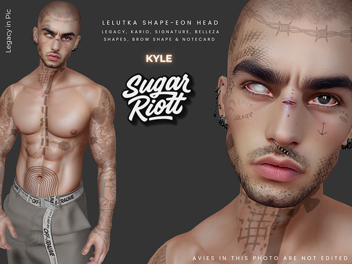 *Sugar Riott* Kyle Shape- Lelutka Eon Head