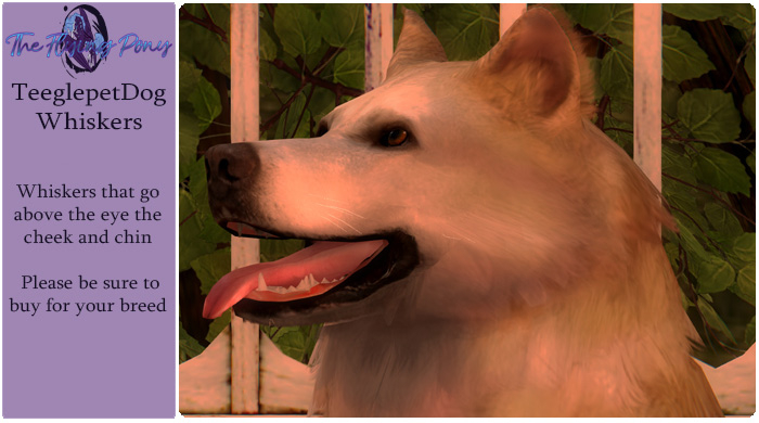 .:TFP:. ~Teegle Dog~ Whisker's Pembroke Corgi  ~Rez