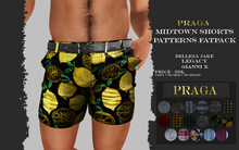 Praga Midtown Shorts Patterns - FATPACK