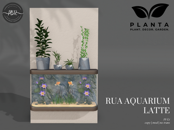 Planta - Rua Aquarium Latte