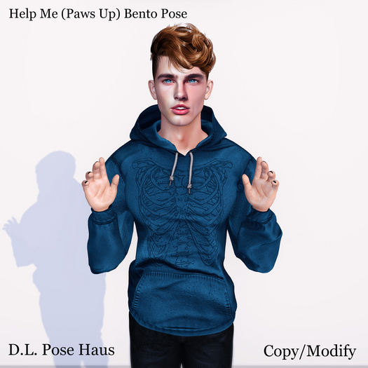 D.L. Pose Haus - Help Me Pose (Bento) Paws Up