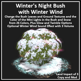 Winter's Night Bush with Winter Wind - Ever Green