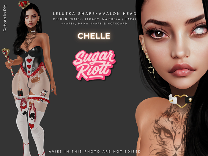 *Sugar Riott* Chelle Shape-Lelutka Avalon 
