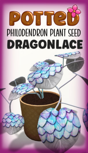 Potted: Philodendron Seed: Dragonlace