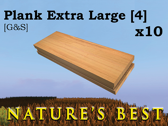Plank extra large [4] [G&S] x10