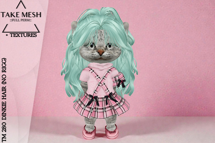! TakeMesh - TM 280 DINKIE HAIR (NO RIGG)