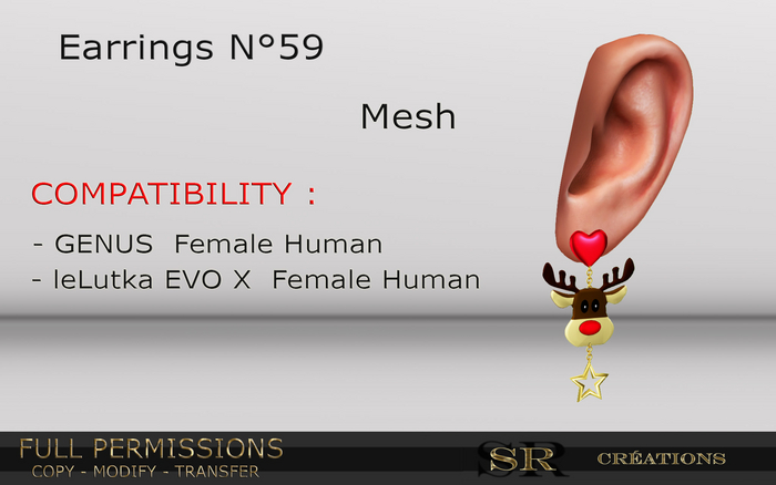Earrings_59_Full Permissions Box