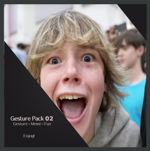 . :: 67 Gesture Pack :: .