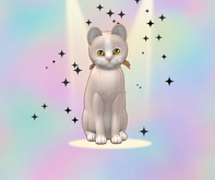 KittyCatS Box - 2T F Genesis Pearl Genesis Sunshine