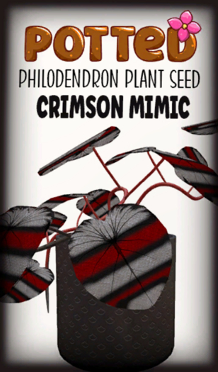 Potted: Philodendron Seed: Crimson Mimic