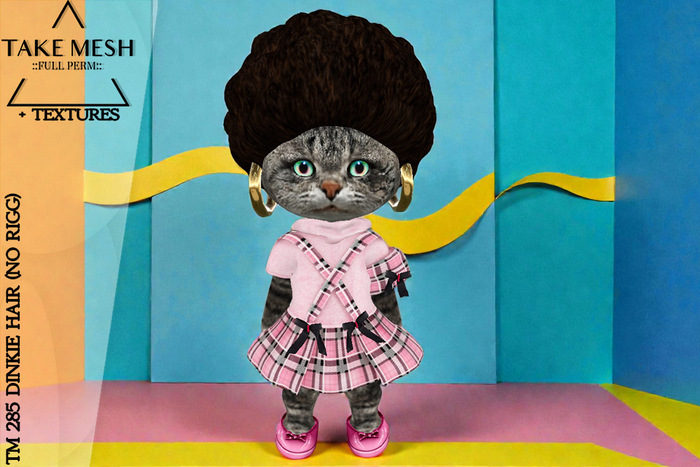 ! TakeMesh - TM 285 DINKIE HAIR (NO RIGG)