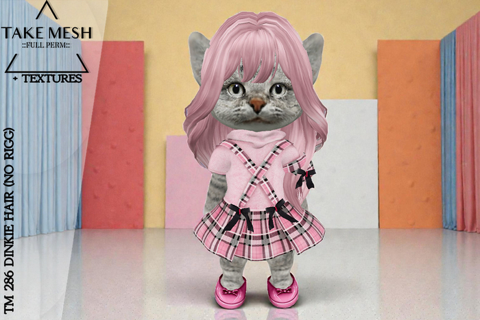 ! TakeMesh - TM 286 DINKIE HAIR (NO RIGG)