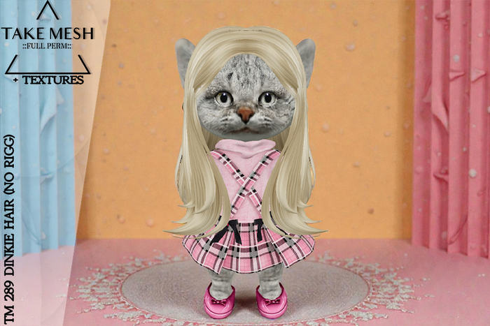 ! TakeMesh - TM 289 DINKIE HAIR (NO RIGG)