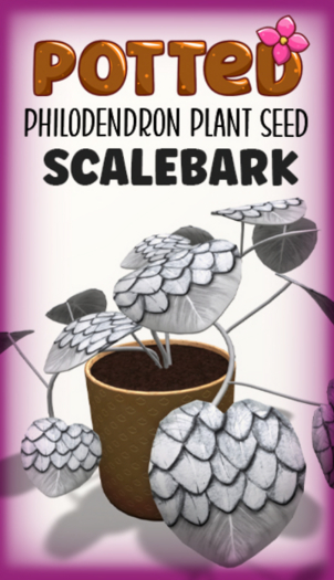 Potted: Philodendron Seed: Scalebark