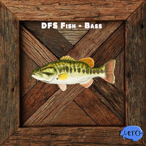 DFS Fish - Bass  x10  (BULK)
