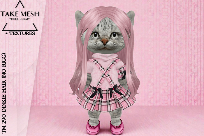 ! TakeMesh - TM 290 DINKIE HAIR (NO RIGG)