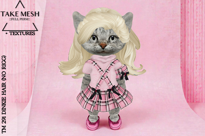 ! TakeMesh - TM 291 DINKIE HAIR (NO RIGG)