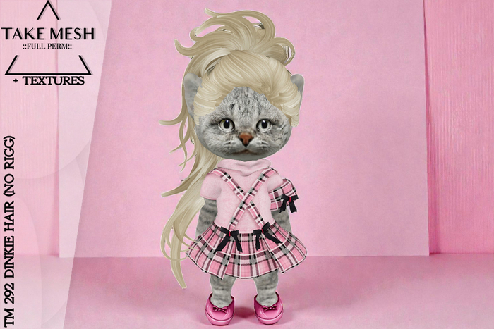 ! TakeMesh - TM 292 DINKIE HAIR (NO RIGG)