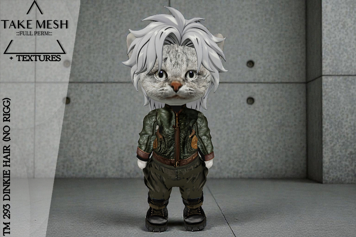 ! TakeMesh - TM 293 DINKIE HAIR (NO RIGG)
