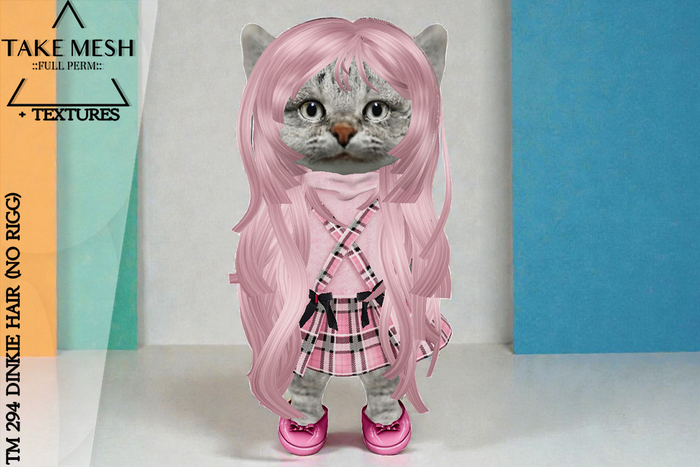 ! TakeMesh - TM 294 DINKIE HAIR (NO RIGG)