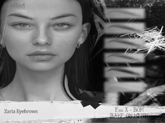 [FB] Zaria Eyebrows - DEMO