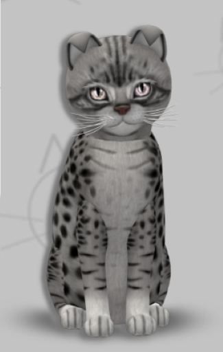 KittyCatS Box - Vance