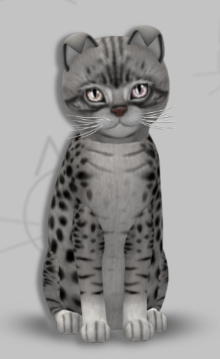 KittyCatS Box - Solana