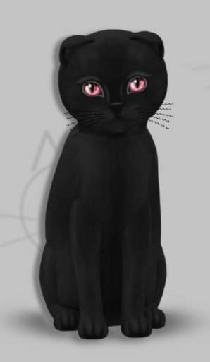 KittyCatS Box - Ronnie