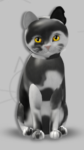 KittyCatS Box - Rene