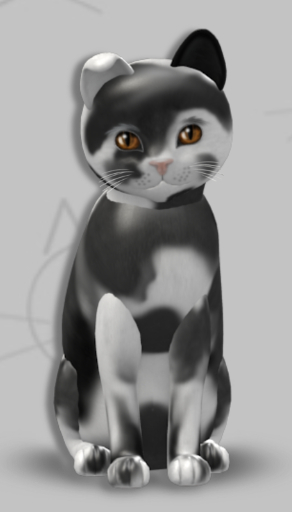 KittyCatS Box - Osiris