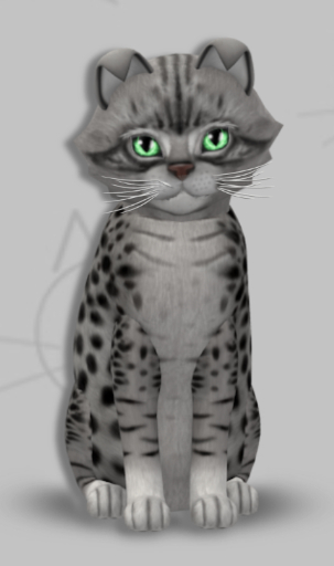 KittyCatS Box - Myra