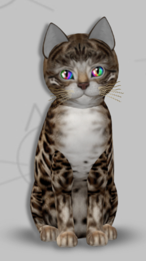 KittyCatS Box - Jenesis