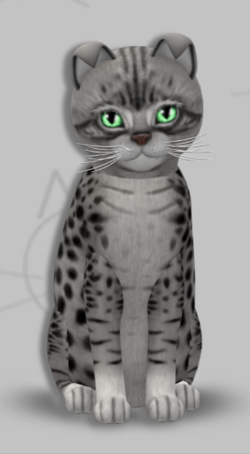 KittyCatS Box - Jasmin