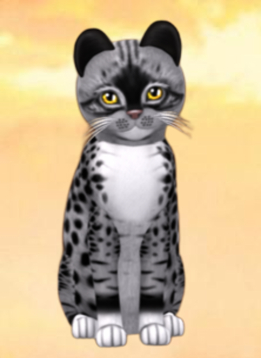 KittyCatS Box - 2T M Genesis Bandit II Genesis Sunflower