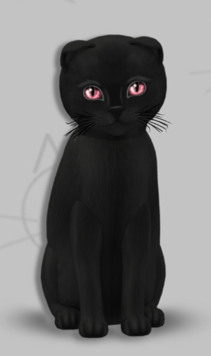 KittyCatS Box - Indie