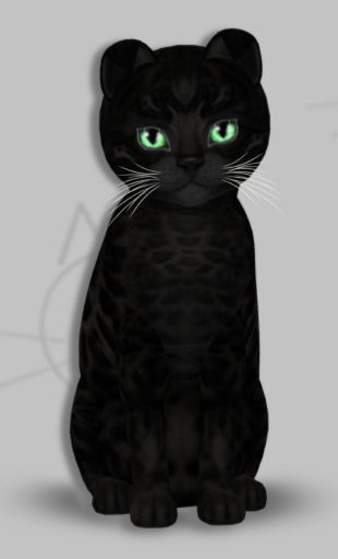 KittyCatS Box - Halo