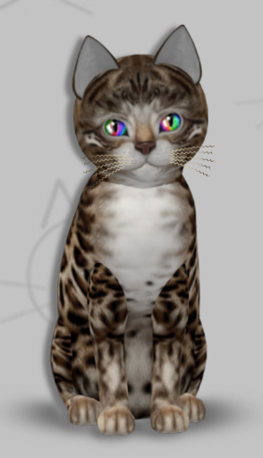 KittyCatS Box - Goldie