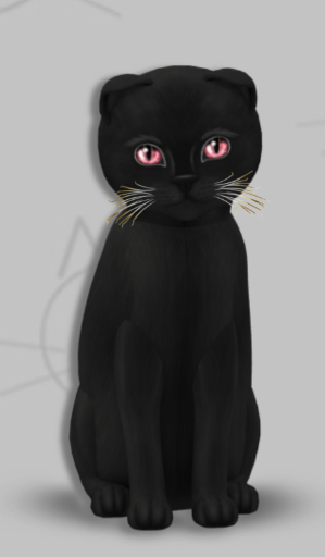 KittyCatS Box - Gloria