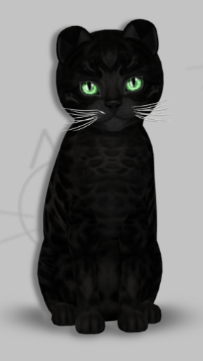 KittyCatS Box - Emerald