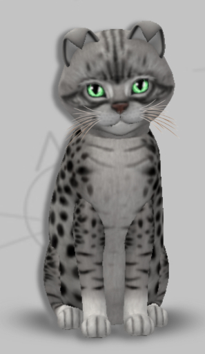 KittyCatS Box - Elias