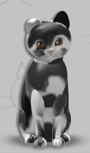 KittyCatS Box - Dash