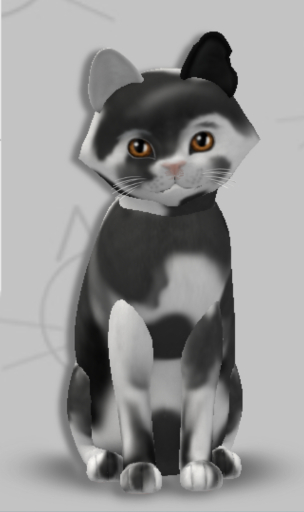 KittyCatS Box - Kiana