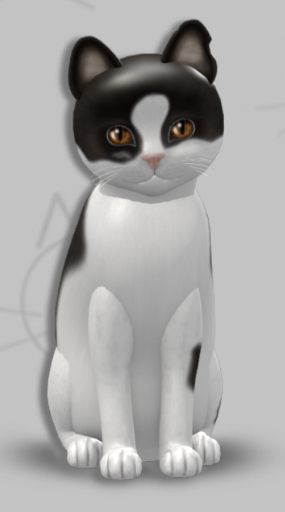 KittyCatS Box - Veda