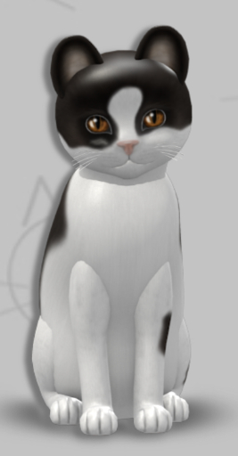 KittyCatS Box - Zavier