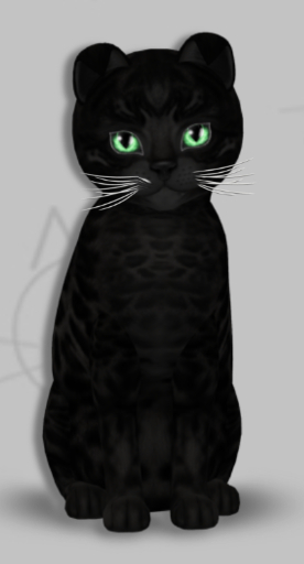 KittyCatS Box - Dani