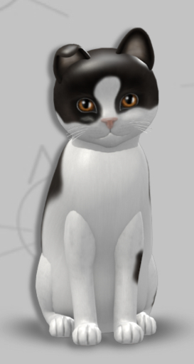 KittyCatS Box - Cain