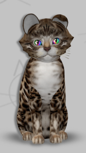 KittyCatS Box - Arlet