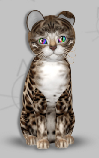 KittyCatS Box - Aldo