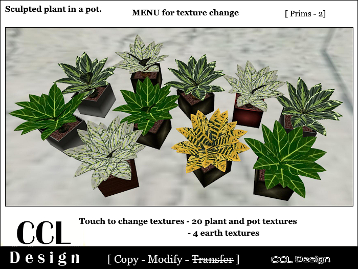 CCL Design - Indoor Plant 001 Change Texture