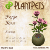 Plantpets Petite Rose *Scarlett* Texture